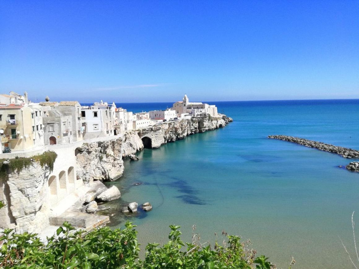 Tagliamento & Molo Apartment Βιέστε Εξωτερικό φωτογραφία